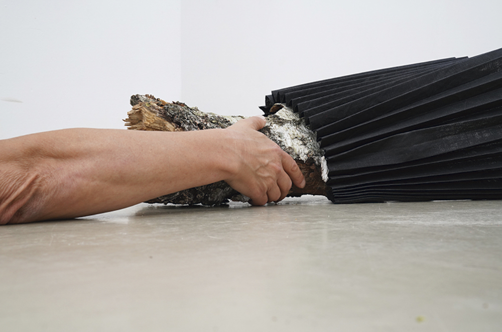 Hering und die Fluse